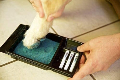 Instant Traction for Senior and Special Needs Dogs; Vet-Developed Paw Grip Kit to Reduce Slipping