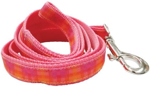 Graphic Leash for Dogs, Pink Ombre, Small/Medium