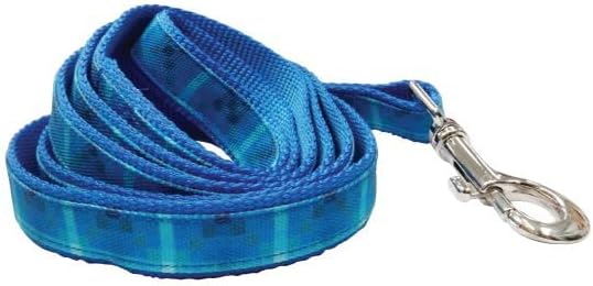 Graphic Leash for Dogs, Blue Ombre, Small/Medium