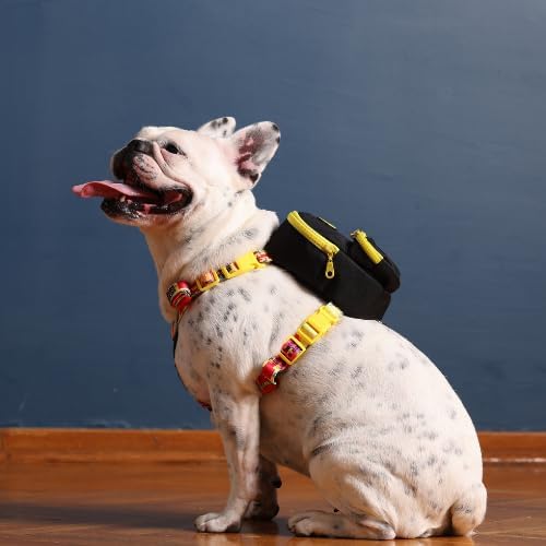 PawLook Dog Backpack Harness Dog Self Carrier Backpack-Poop Bag Dispenser Dog Backpack-Anti Slip Dog Backpack-Backpack for Dogs to Wear-Stylish Dogbagpack - GimmeFive Series 1 Piece (Black, M)