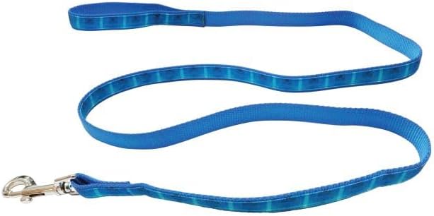 Graphic Leash for Dogs, Blue Ombre, Small/Medium