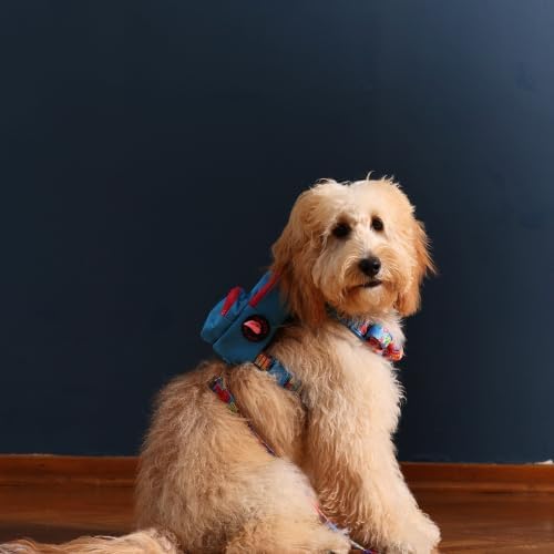 PawLook Dog Backpack Harness Dog Self Carrier Backpack-Poop Bag Dispenser Dog Backpack-Anti Slip Dog Backpack-Backpack for Dogs to Wear-Stylish Dogbagpack - GimmeFive Series 1 Piece (Blue, M)