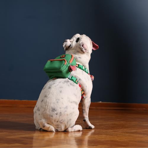 PawLook Dog Backpack Harness Dog Self Carrier Backpack-Poop Bag Dispenser Dog Backpack-Anti Slip Dog Backpack-Backpack for Dogs to Wear-Stylish Dogbagpack - GimmeFive Series 1 Piece (Green, M)