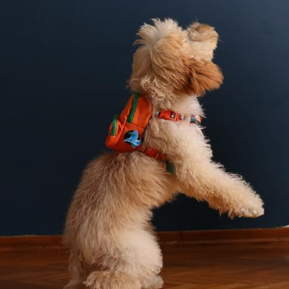 PawLook Dog Backpack Harness Dog Self Carrier Backpack-Poop Bag Dispenser Dog Backpack-Anti Slip Dog Backpack-Backpack for Dogs to Wear-Stylish Dogbagpack - GimmeFive Series 1 Piece (Orange, M)