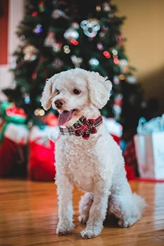 Elegant little tail Flower Christmas Dog Collar for Female or Male Dogs