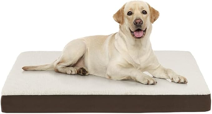 Friends Forever Orthopedic Dog Bed 36x27x3