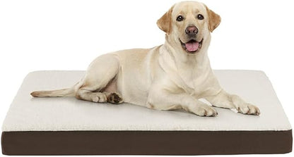 Friends Forever Orthopedic Dog Bed 36x27x3