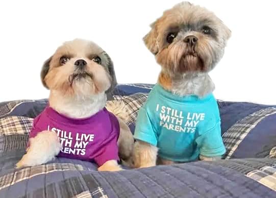 Cute Dog Clothes (S-(4~8lb), Chest~14",