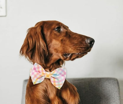 Adjustable Pet Bow Tie and Dog Collar for Small Medium Large Dogs