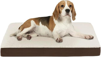 Friends Forever Orthopedic Dog Bed 30x20x3