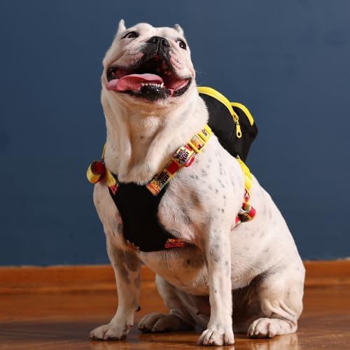 PawLook Dog Backpack Harness Dog Self Carrier Backpack-Poop Bag Dispenser Dog Backpack-Anti Slip Dog Backpack-Backpack for Dogs to Wear-Stylish Dogbagpack - GimmeFive Series 1 Piece (Black, S)