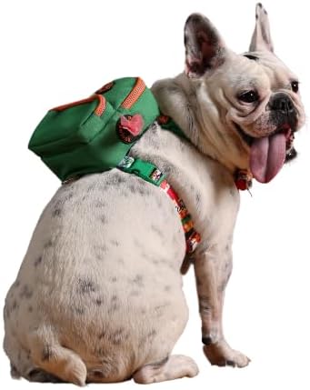 PawLook Dog Backpack Harness Dog Self Carrier Backpack-Poop Bag Dispenser Dog Backpack-Anti Slip Dog Backpack-Backpack for Dogs to Wear-Stylish Dogbagpack - GimmeFive Series 1 Piece (Green, M)