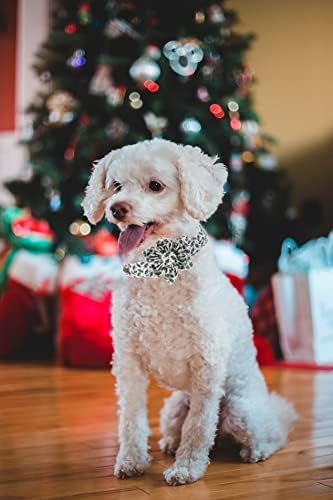 Elegant little tail Christmas Dog Collar