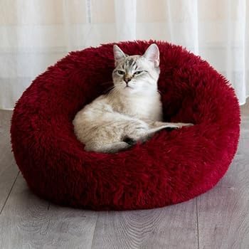 Geizire 24 inch Large Cat Bed Dog Bed for Cats Bed(24'', red)