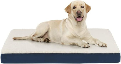 Friends Forever Orthopedic Dog Bed 36x27x3