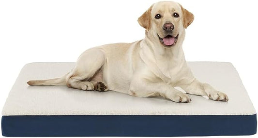 Friends Forever Orthopedic Dog Bed 36x27x3
