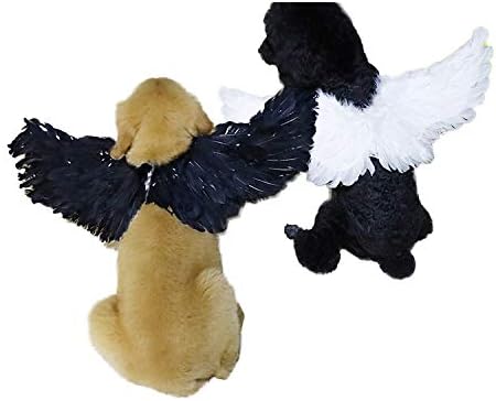 WeeH Pet Halloween Costume Cosplay Angel Devil Black White Wing for Dog Cat Rabbit Piggy - Funny Gift at Halloween Party Anime Theme Birthday Christmas (Black, Small)