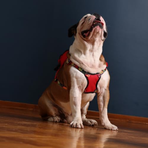 PawLook Dog Backpack Harness Dog Self Carrier Backpack-Poop Bag Dispenser Dog Backpack-Anti Slip Dog Backpack-Backpack for Dogs to Wear-Stylish Dogbagpack - GimmeFive Series 1 Piece (Red, S)