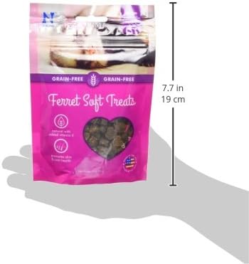 N-Bone 1 Pouch Ferret Soft Treats Bacon Flavor, 3 Oz (Pack of 2)