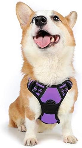 rabbitgoo Dog Harness 2 Leash