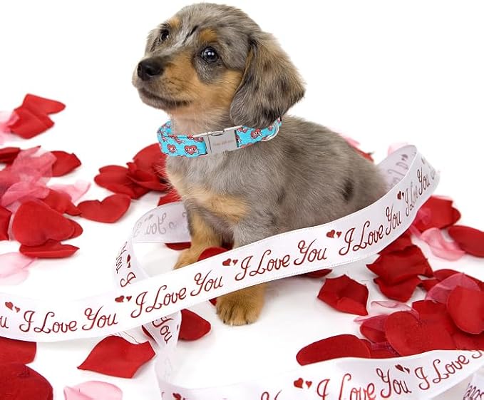 Unique Style Paws Valentine's Day Dog Collar Heart