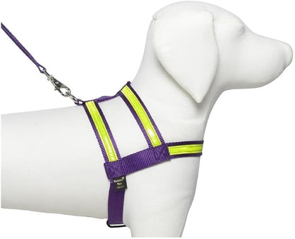 Purple Night Lite Harness