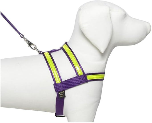 Purple Night Lite Harness