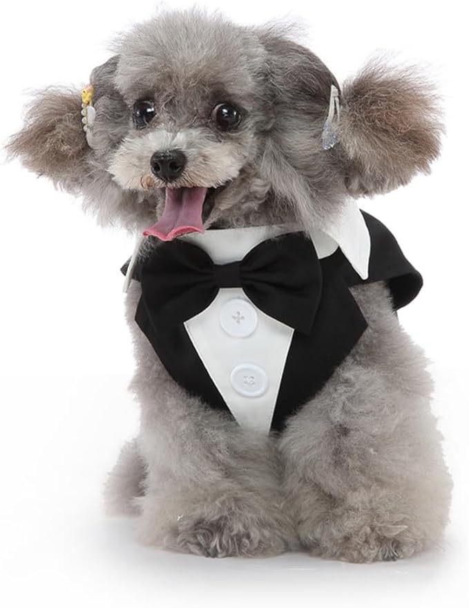 Puppy Tuxedo with Detachable Bowtie Prom Wedding Formal Wear Prince Costume for Small Dog (X-Small, Black)