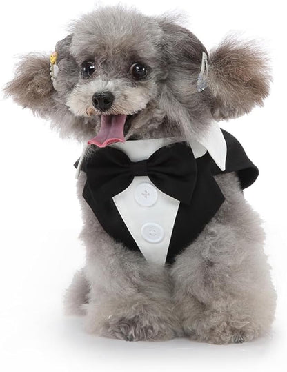 Puppy Tuxedo with Detachable Bowtie Prom Wedding Formal Wear Prince Costume for Small Dog (Large, Black)