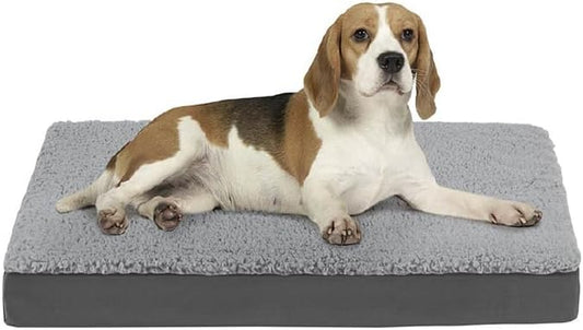 Friends Forever Orthopedic Dog Bed 30x20x3