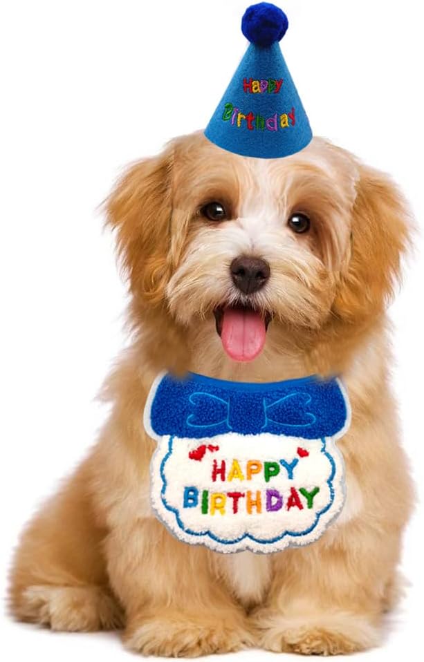 Dog Cat Birthday Party Supplies Outfit Bandana Bib