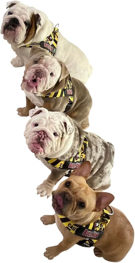 BULLHUG Harness – Made for Larger Chested Dogs Like English Bulldogs