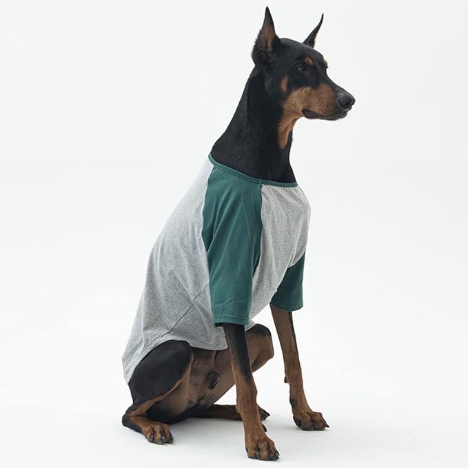 Dog Shirt for Small and Large Dogs Raglan Cotton T-Shirts Soft Breathable Dog Shirts pet Clothes Gray Series (X-Large