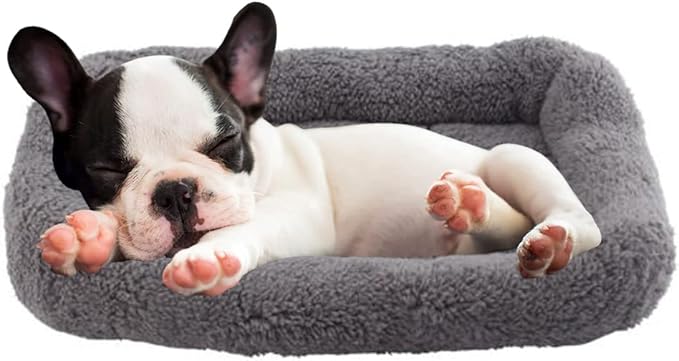 PETLESO Cat Bed Plush Cats Cushion 22" x 16"