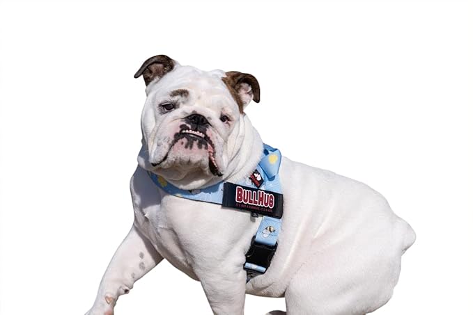 BULLHUG Harness – Made for Larger Chested Dogs Like English Bulldogs