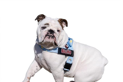 BULLHUG Harness – Made for Larger Chested Dogs Like English Bulldogs