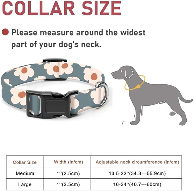 Dog Collar