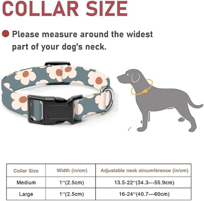 Dog Collar