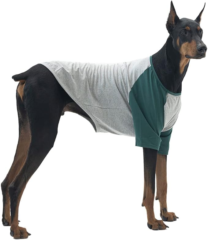 Dog Shirt for Small and Large Dogs Raglan Cotton T-Shirts Soft Breathable Dog Shirts pet Clothes Gray Series (4X-Large