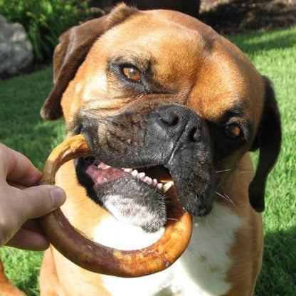 Pawstruck All-Natural 4" Bully Stick Rings for Dogs - Rawhide Free 100% Beef Single Ingredient Dental Chew Treat Bones - Fully Digestible Low Odor - Bulk 25 Pack - Packaging May Vary