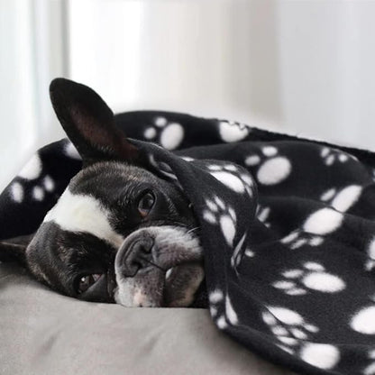 EAGMAK Cute Dog Cat Fleece Blankets with Paw Prints for Kitten Puppy and Small Animals Pack of 6 (Black 39 * 31Inch