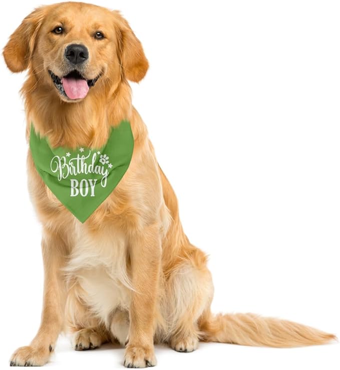 Birthday Dog Bandana 1st Birthday (A20)