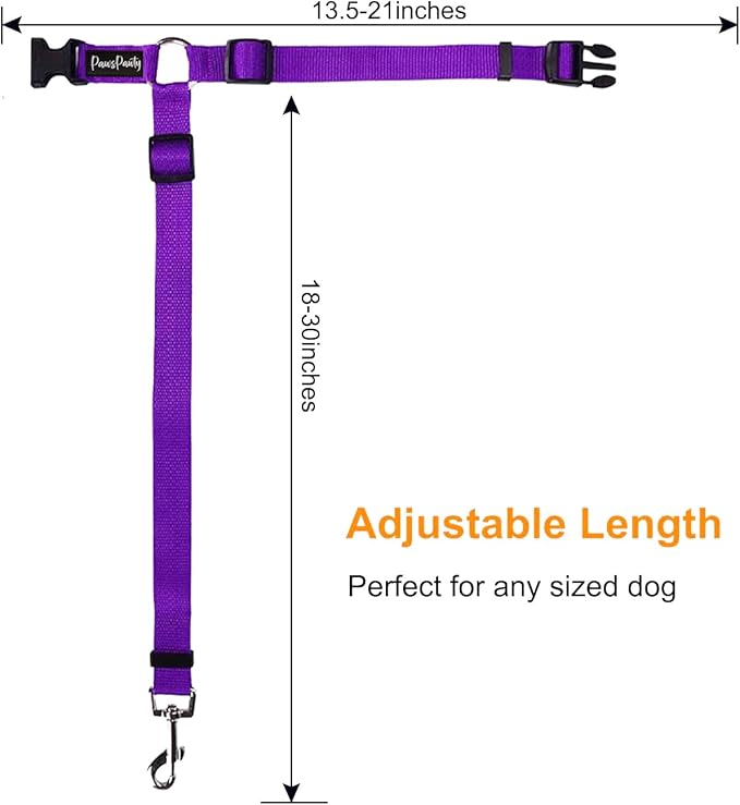 PawsPawty 2 Pack Headrest Dog Car Safety Seat 2-in-1 Leash