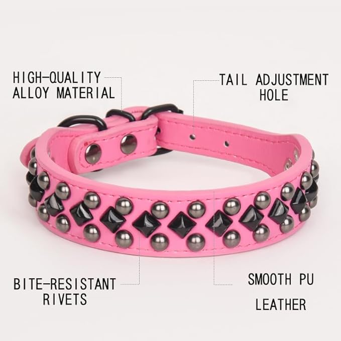Dog Collars for Small Dogs
