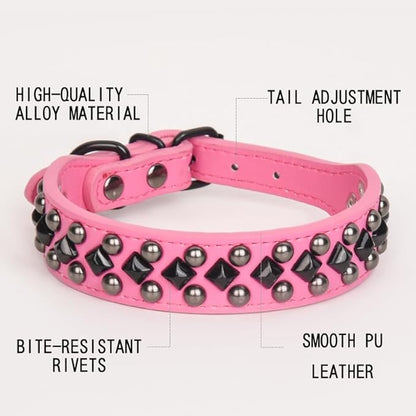 Dog Collars for Small Dogs
