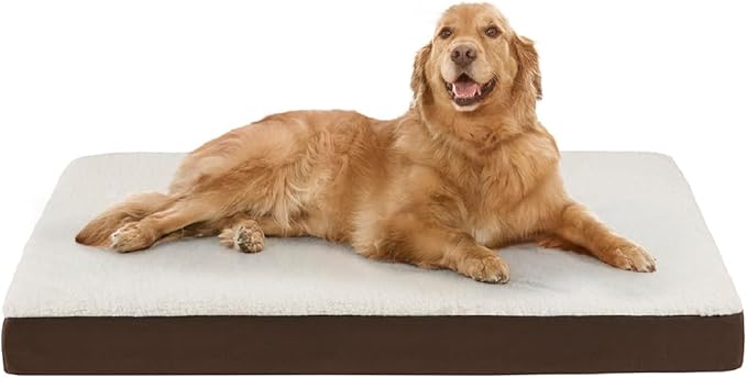 Friends Forever Orthopedic Dog Bed 44x32x3.5