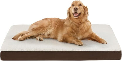 Friends Forever Orthopedic Dog Bed 44x32x3.5