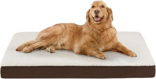 Friends Forever Orthopedic Dog Bed 44x32x3.5