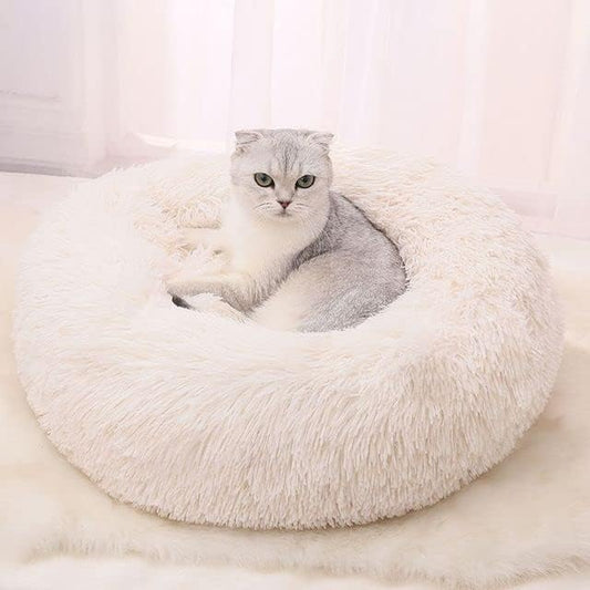 Cat Beds for Indoor Cats 20/24 inches,