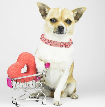 Unique Style Paws Valentine's Day Dog Collar Heart